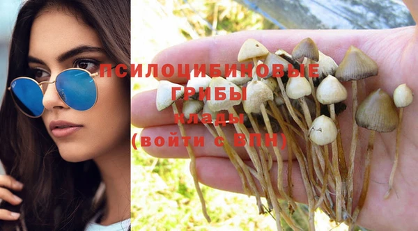 не бодяженный Нязепетровск