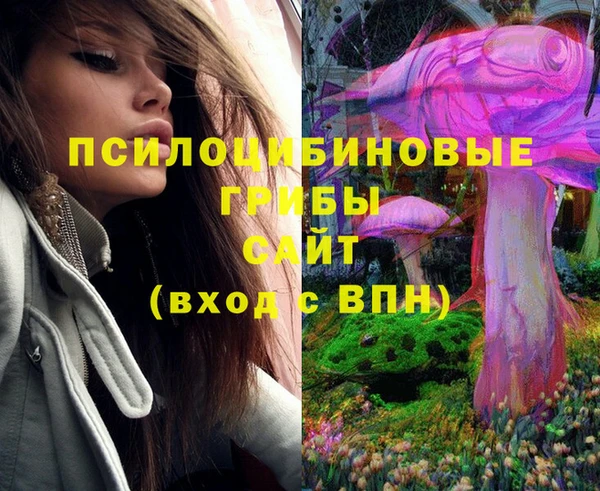 дмт Нягань