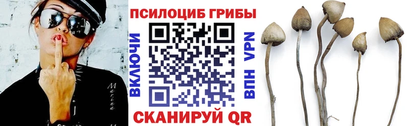 Галлюциногенные грибы MAGIC MUSHROOMS  Купить где  Пошехонье 